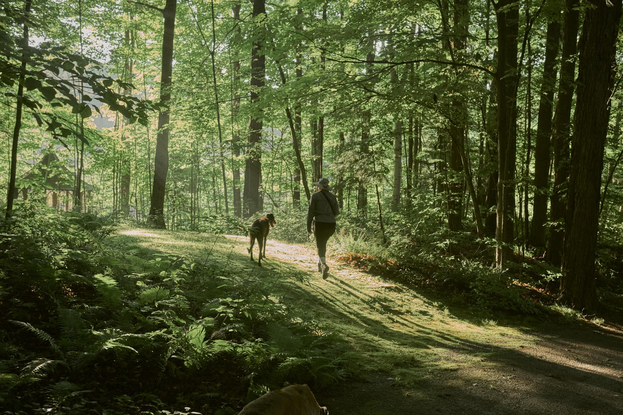Best friends stepping into the light